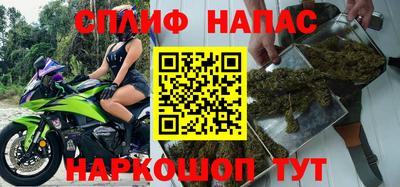 стафф Пенза