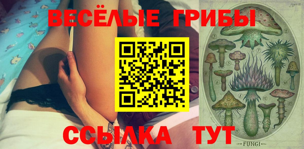 Саров  Галлюциногенные грибы ЛСД  Вход с VPN 